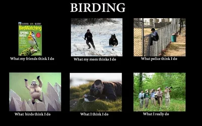 $Birders_large.webp