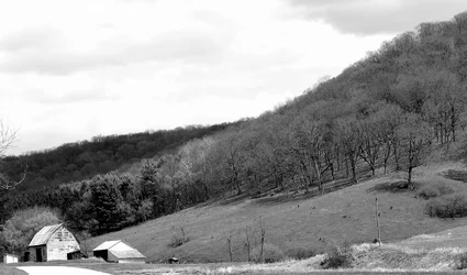 $Back Hills B&W.webp