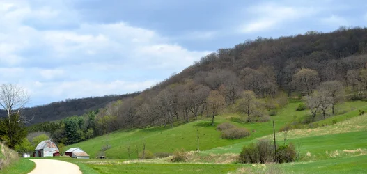 $Back Roads.webp