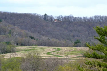 $Back Hills.webp