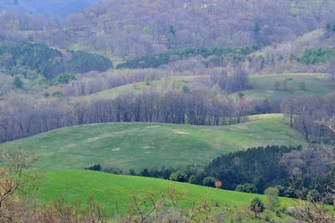 $Rolling Hills.webp