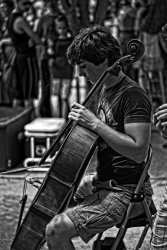 $The Cellist.jpg
