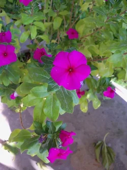 $103_2529.webp