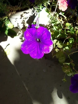 $103_2571.webp