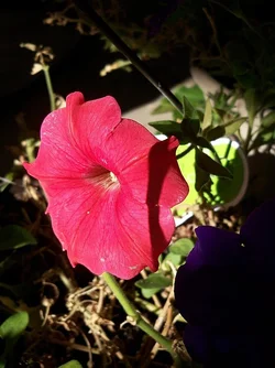 $103_2572.webp