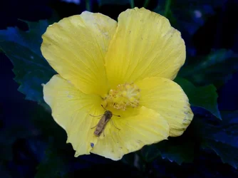$103_2632.webp
