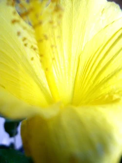 $103_2641.webp