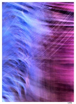 $car wash purpl400.webp $car wash purpl400.webp