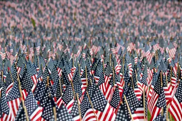 $Flag Garden 1.webp