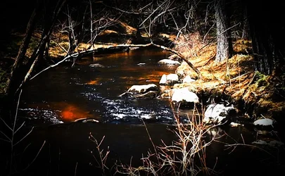 $Pine River stream edited.webp