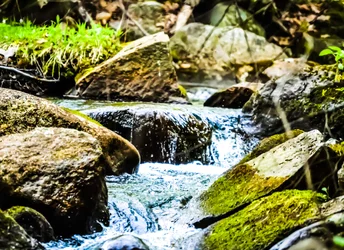 $brook near Eidelweiss_edited.webp