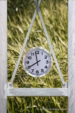 $Clock and structure over wheat.webp