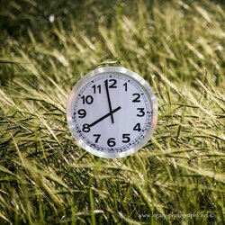 $Clock floating over wheat field - harvest time.jpg