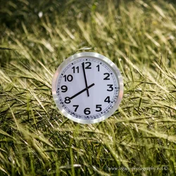 $Clock floating over wheat field - harvest time.webp