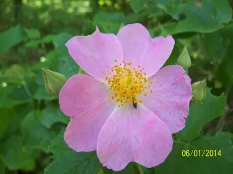 $102_6517.webp