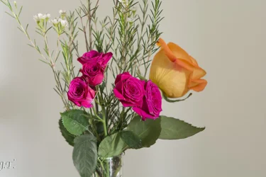 $Still Life 4_003.webp