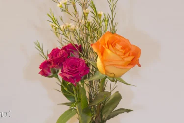 $Still Life #3_001.webp