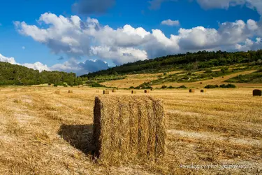 $Bale of hay leading into field and mountains.webp