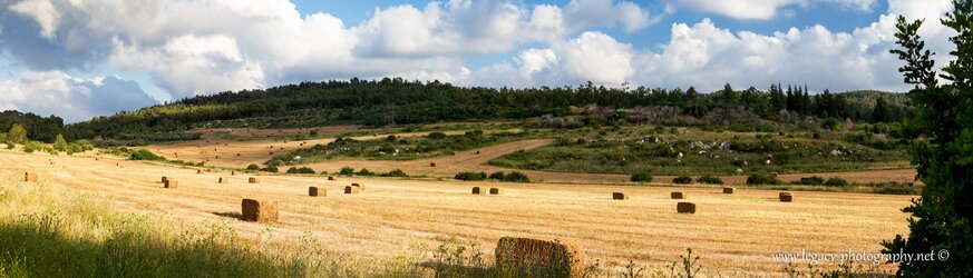 $Field with hay bales - Panorama.jpg