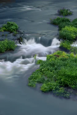 $Shoal creek riff 8x10.webp