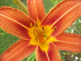 $102_6403.webp
