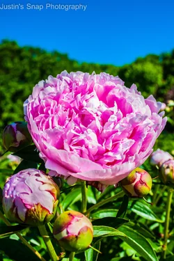 $2014-06-06 07.16.01.webp