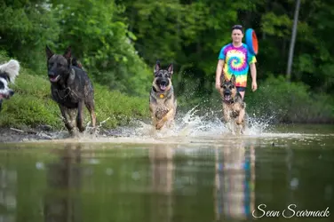 $large_2be175da1_20140608-203-Edit.webp
