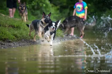 $large_a780da723_20140608-245.webp