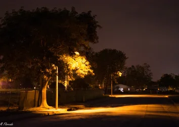 $Street lamp (1 of 1).webp $Street lamp (1 of 1).webp