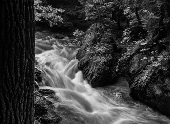 $Clifton Gorge Braided Rapids B&W.webp