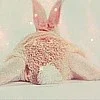 $bunnys_butt_lol.webp $bunnys_butt_lol.webp