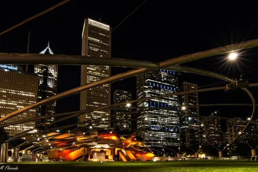 $Millennium Park final #2 (1 of 1).webp