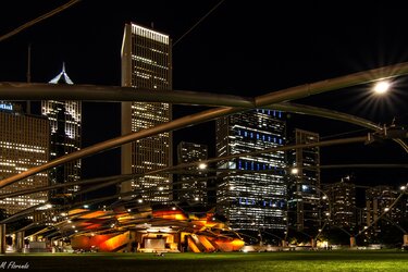 $Millennium Park final #2 (1 of 1).jpg