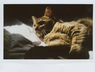 $rs Mrs Parker in the sun.webp