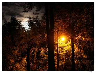 $moon and lamp.webp