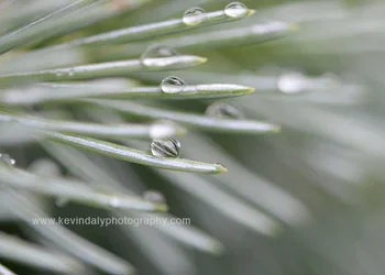 $Web_DSC_2422.webp