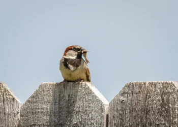$7D1_0051.webp