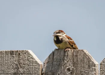 $7D1_0053.webp