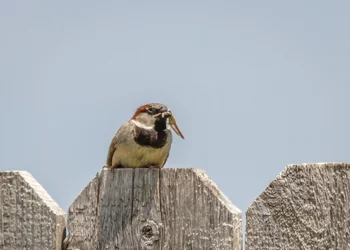 $7D1_0055.webp