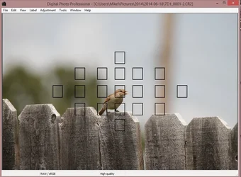 $Image1.webp