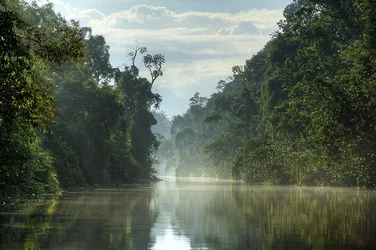 $Kinabatangang River tpf.webp