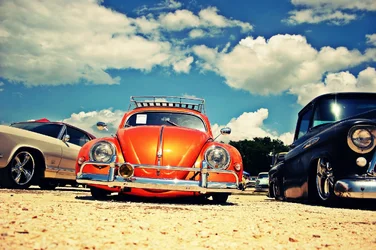 $OrangeBug(resized).webp