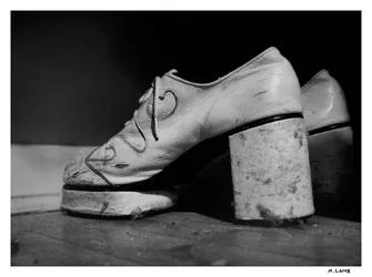 $disco shoes.350.webp