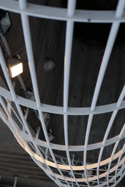 $0003 Cage RAW.webp