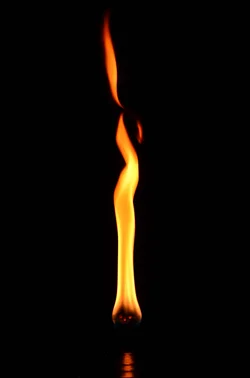 $Flame from a bug pot.small.webp