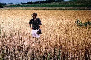 $Catcher-rye-full.webp