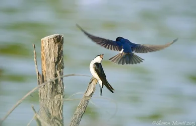 $June1_2835editweb.webp