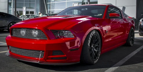 $Fullmustang.webp