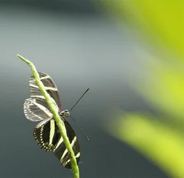 $_MG_3108_2.webp