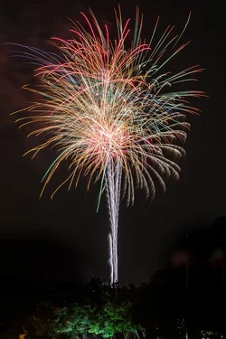 $_ZJL7309.webp